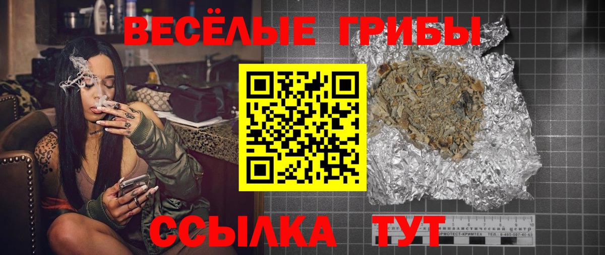 Знаменск  Псилоцибиновые грибы Cubensis  Вход с VPN 